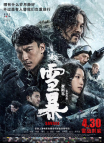 成年人在线播放视频