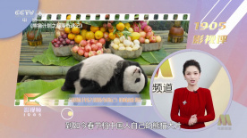 日韩精品小视频